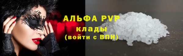 шишки Бабаево