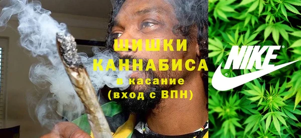 не бодяженный Осташков