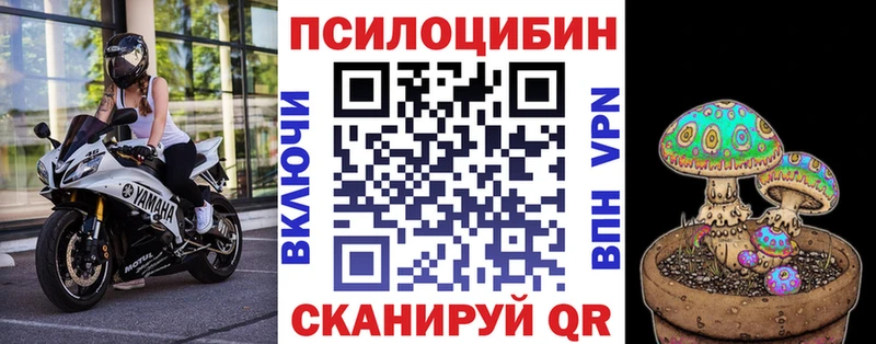 купить наркоту  Полярный  Псилоцибиновые грибы прущие грибы 